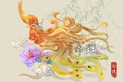 择吉黄历 择吉日历 择吉老皇历